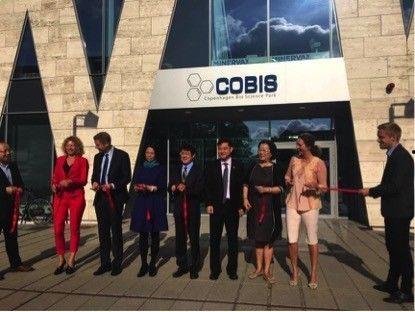 丹麦政府爆料事件视频,揭秘幕后真相与争议焦点