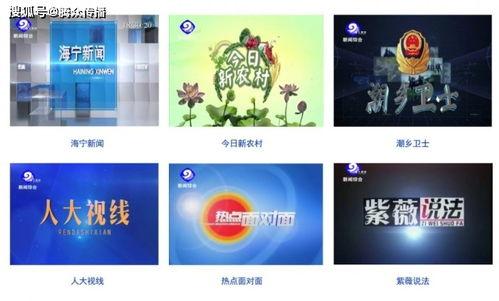 海宁市电视台新闻爆料,聚焦民生热点，揭示社会现象